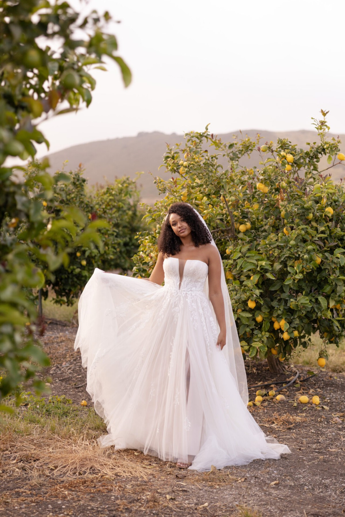 Stella York7825